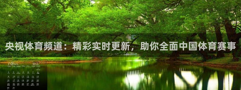央视体育频道：精彩实时更新，助你全面中国体育赛事