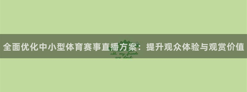 全面优化中小型体育赛事直播方案：提升观众体验与观赏价值